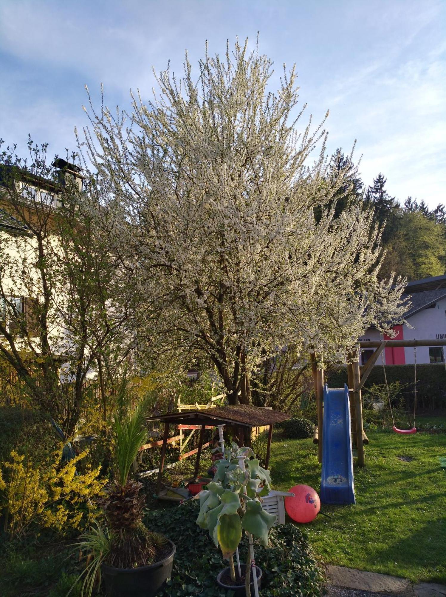 Haus Friedburg Apartment เวลเดน อัม เวิร์ทเทอร์ซี ภายนอก รูปภาพ